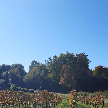 Acero Rosso B&B In Franciacorta Эрбуско Экстерьер фото