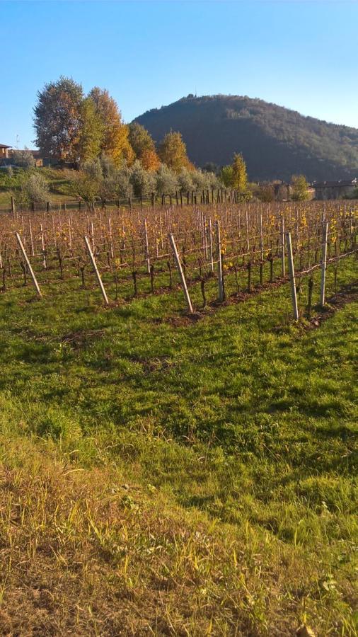 Acero Rosso B&B In Franciacorta Эрбуско Экстерьер фото