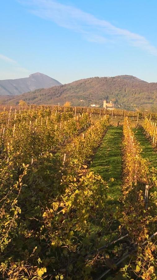 Acero Rosso B&B In Franciacorta Эрбуско Экстерьер фото