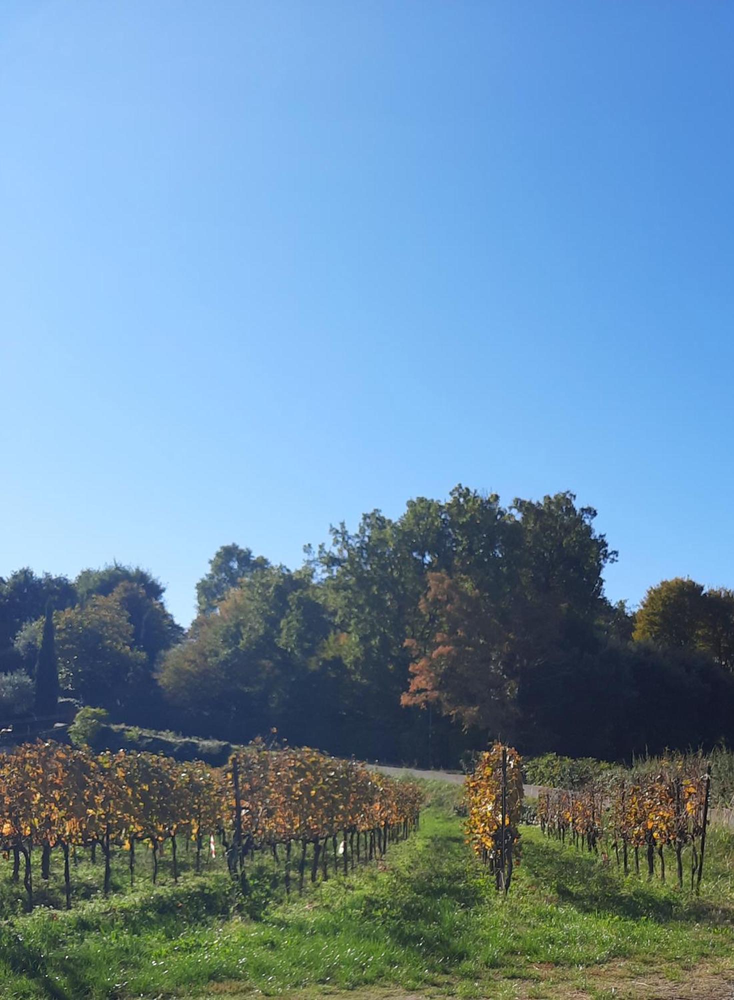Acero Rosso B&B In Franciacorta Эрбуско Экстерьер фото